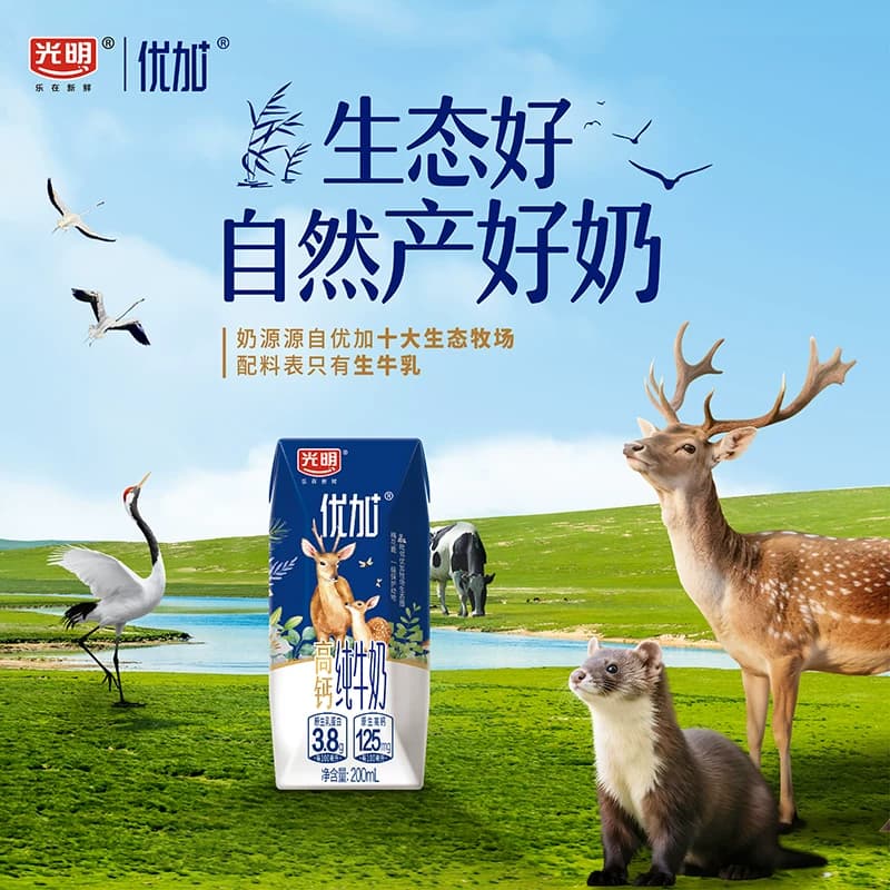 光明优加3.8g蛋白高钙纯牛奶200ml*24盒 - 缩略图5