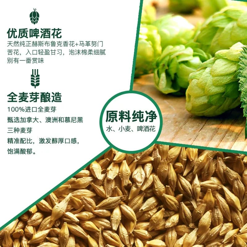 雪花啤酒全麦5号330ml*6听醇厚型啤酒麦汁浓度12.5°全麦芽酿造 - 缩略图3