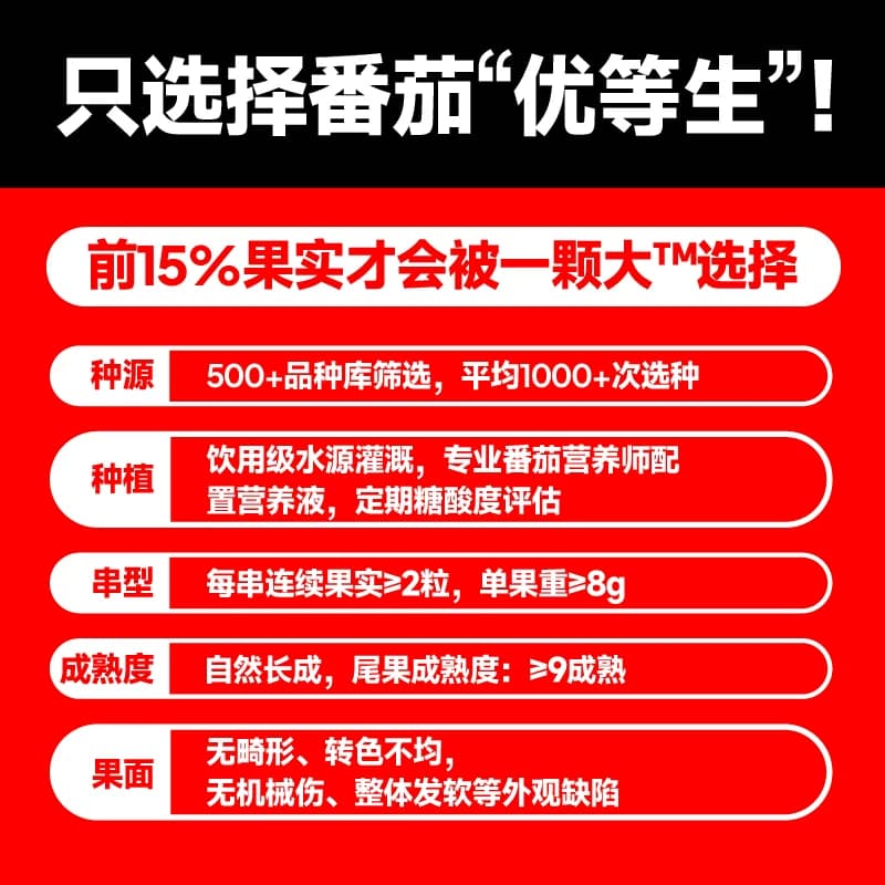 【一颗大】玲珑串收樱桃番茄酸甜孕妇水果新鲜采摘 - 缩略图2