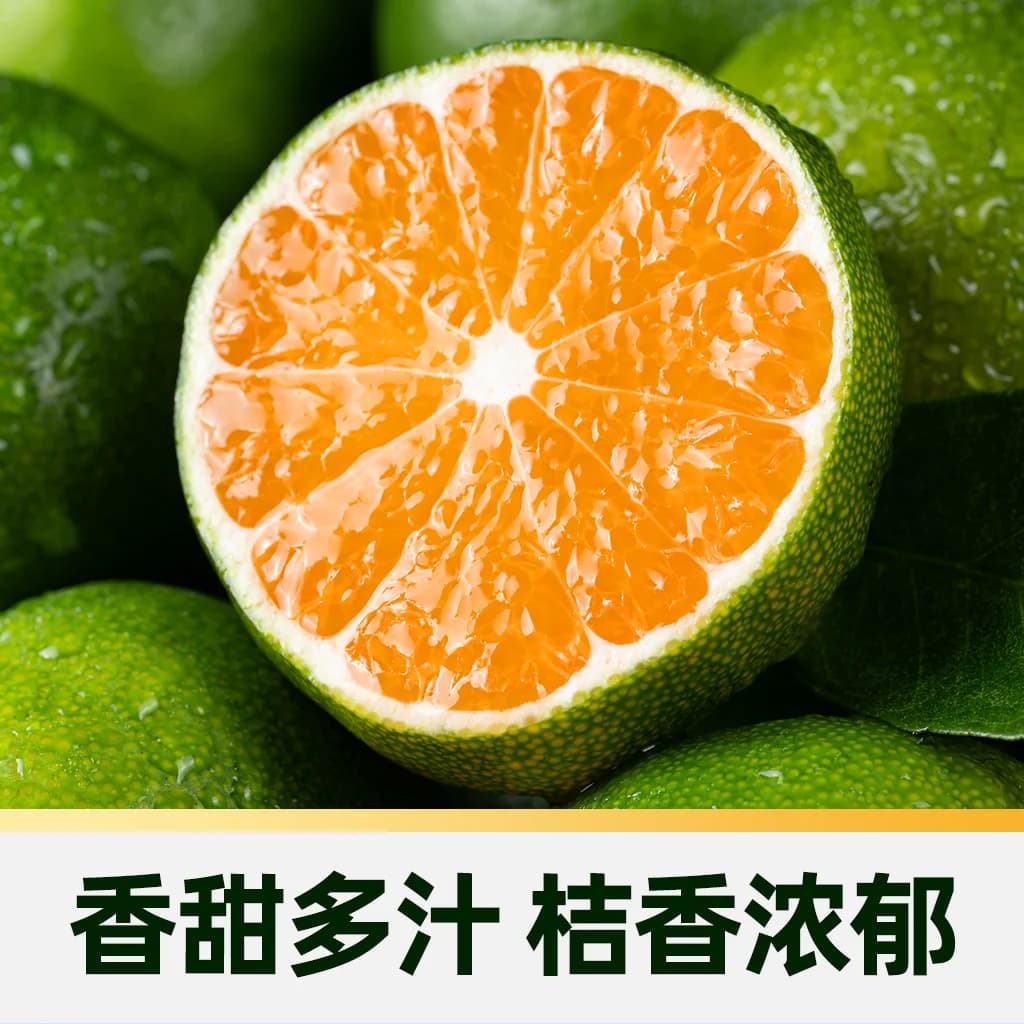 猫超臻选江西寻乌蜜桔新鲜现摘青皮酸甜多汁薄皮孕妇水果产地直发 - 缩略图3