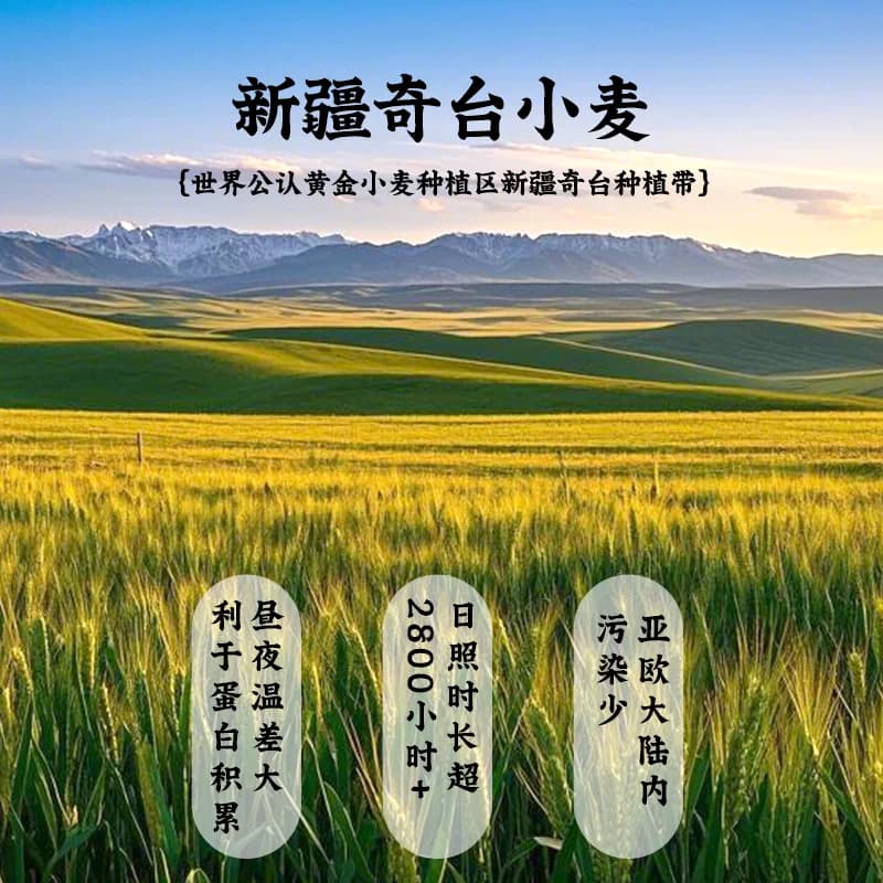 金沙河新疆雪花粉1kg筋道面粉奇台小麦烘培通用面粉 - 缩略图2