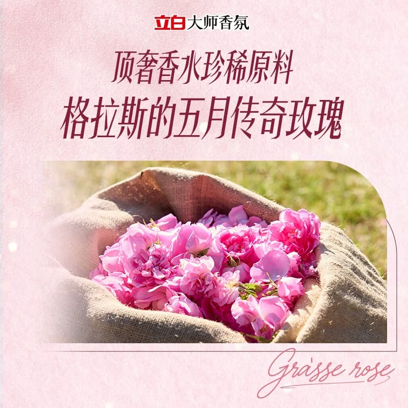 【李佳琦直播间618超级狂欢日】立白大师香氛玫瑰洗衣液 - 缩略图4