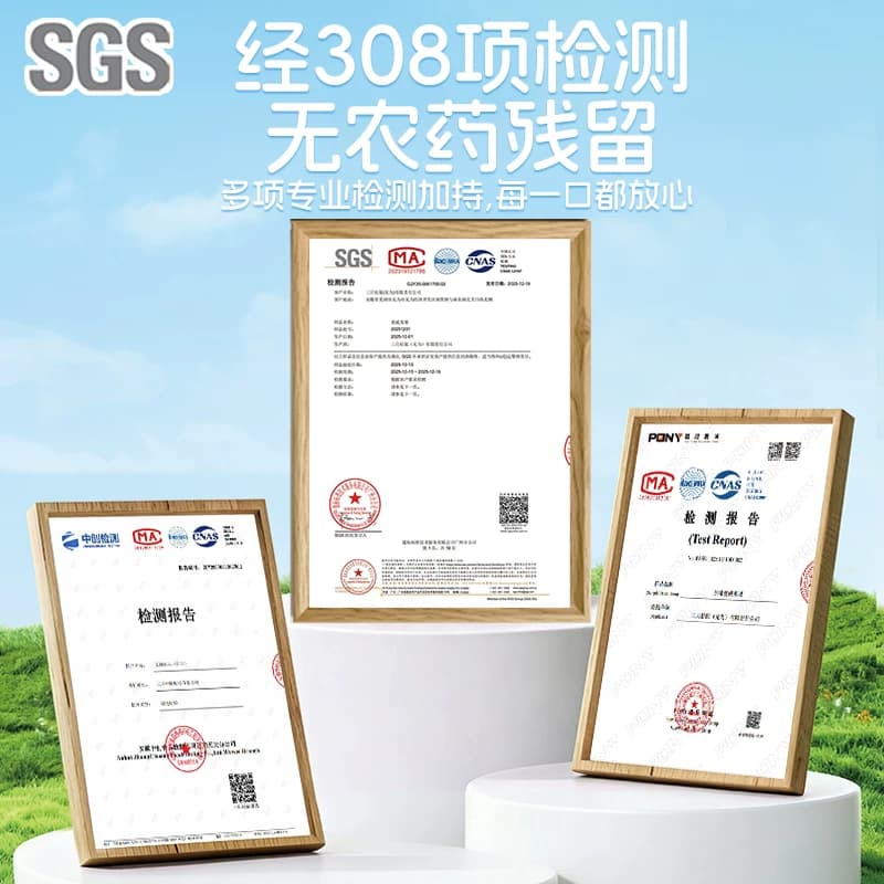 三只松鼠金装高山夏威夷果480g大颗粒罐装坚果干果仁早餐休闲零食 - 缩略图4