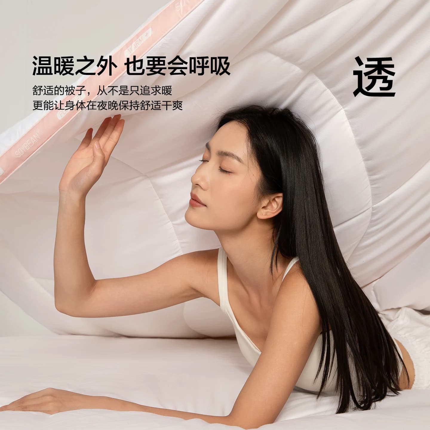 水星家纺被子大豆春秋被宿舍冬被四季被芯二合一子母被秋冬加厚被 - 缩略图2