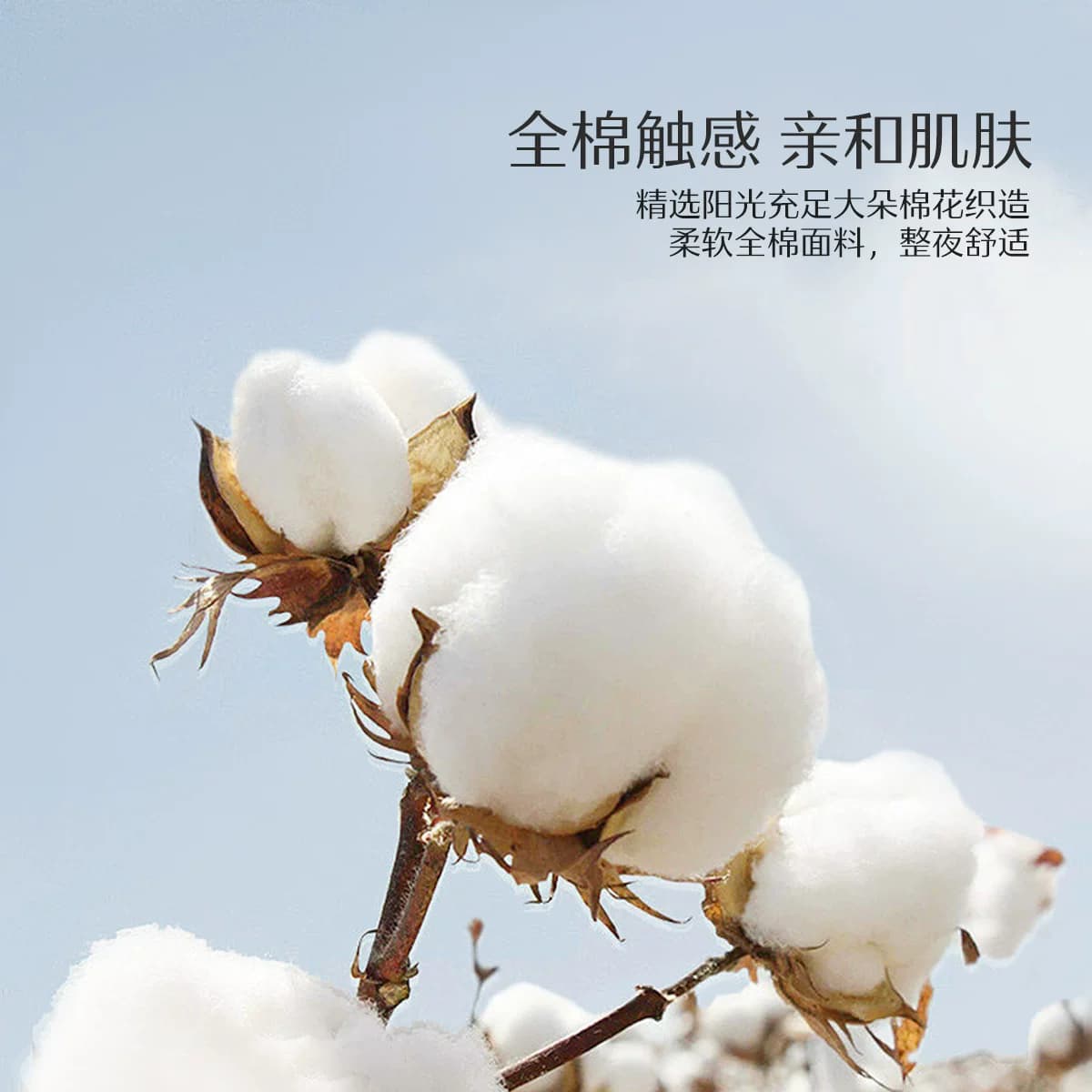 水星家纺可水洗枕头枕芯全棉抗菌防螨单人呵护颈椎软枕枕头芯低枕 - 缩略图4