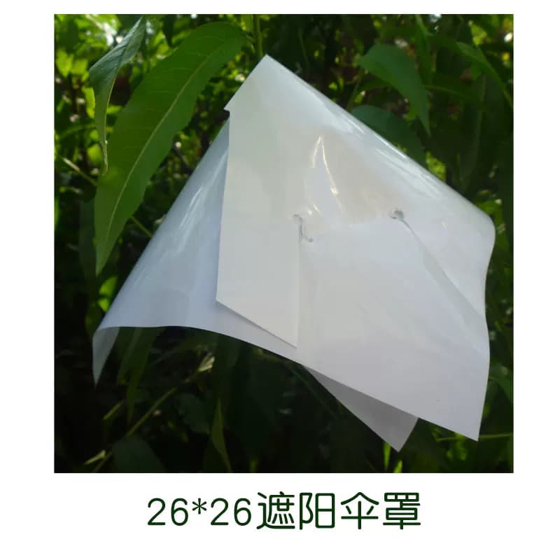 葡萄伞罩阳光玫瑰葡萄套袋专用袋防晒伞罩伞帽防日灼防裂果遮阳罩 - 缩略图4