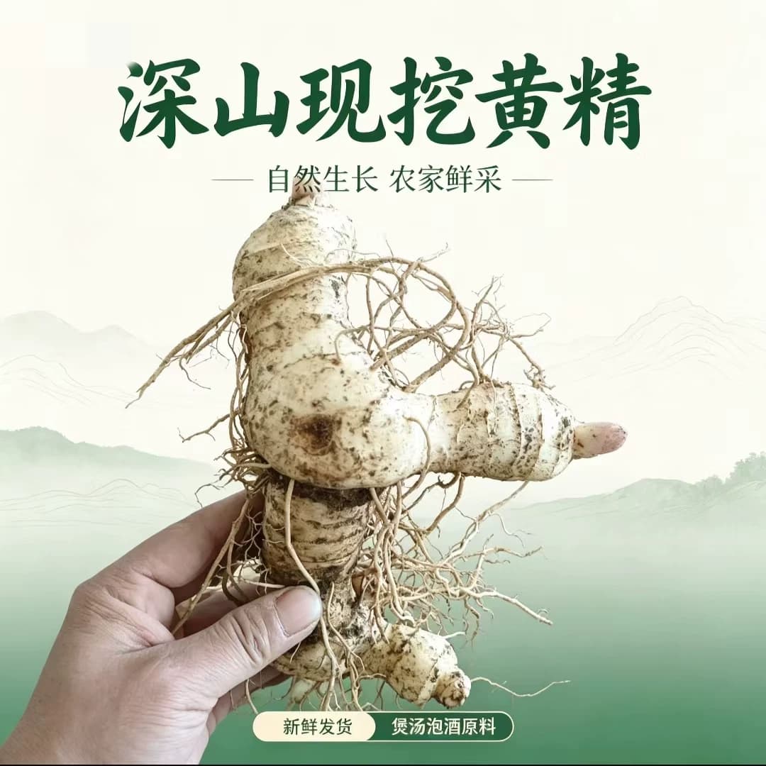 新鲜黄精现挖野生鸡头黄精九蒸九晒黄精药材黄泡茶泡酒食用鲜黄精 - 缩略图3