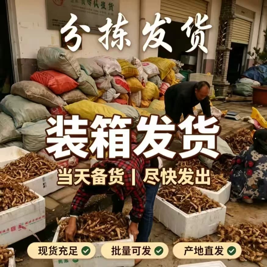 农家现挖鸡头黄精九蒸九晒黄精原料泡水煲汤泡酒药材食用黄精食材 - 缩略图4
