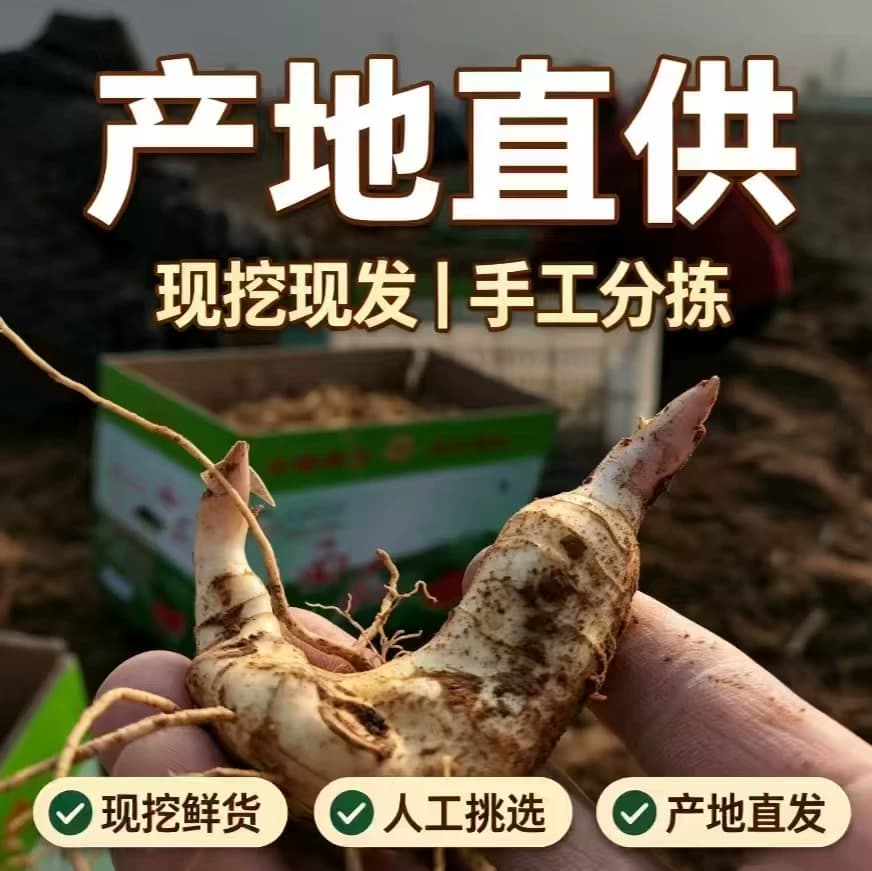 农家现挖鸡头黄精九蒸九晒黄精原料泡水煲汤泡酒药材食用黄精食材 - 缩略图3