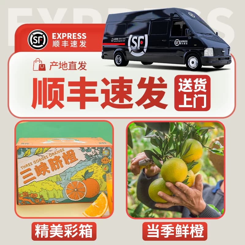 秭归夏橙9斤装榨汁摆摊新鲜水果顺丰当季现摘橙子当季整箱甜橙果 - 缩略图4