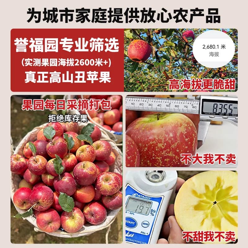 正宗四川大凉山丑苹果当季时令水果盐源脆甜冰糖心新鲜当季整箱 - 缩略图2