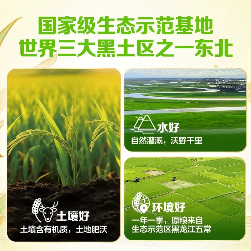 金龙鱼稻谷鲜生6步鲜金域鲜稻长粒香2.5kg香糯东北大米粳米5斤装 - 缩略图4