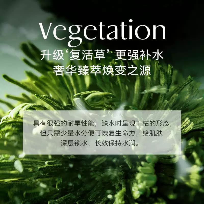 澳洲NOFN复活草保湿面膜舒缓补水提亮肌肤亚马逊泥膜深层清洁169 - 缩略图4