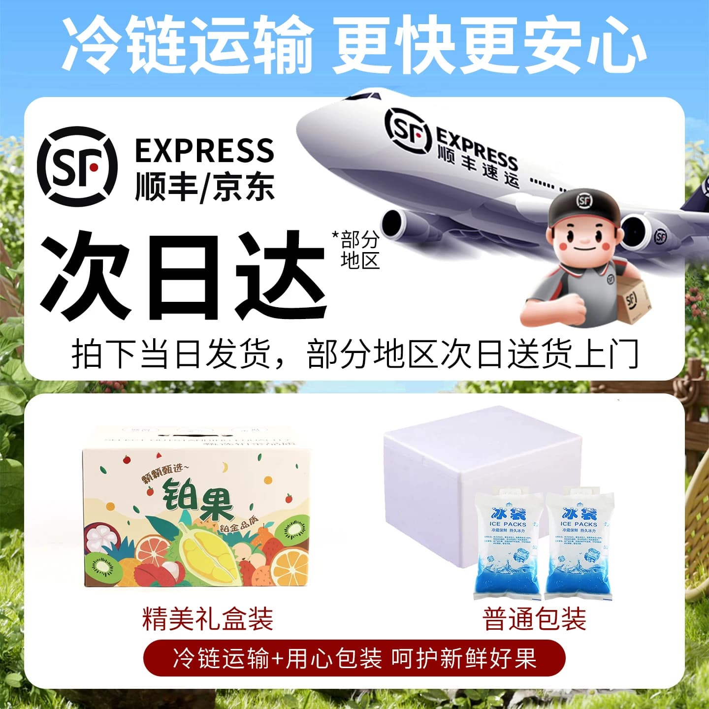 顺丰礼盒5斤冰糖鸡心黄皮果新鲜水果正宗广东黄弹子当季整箱包邮 - 缩略图5