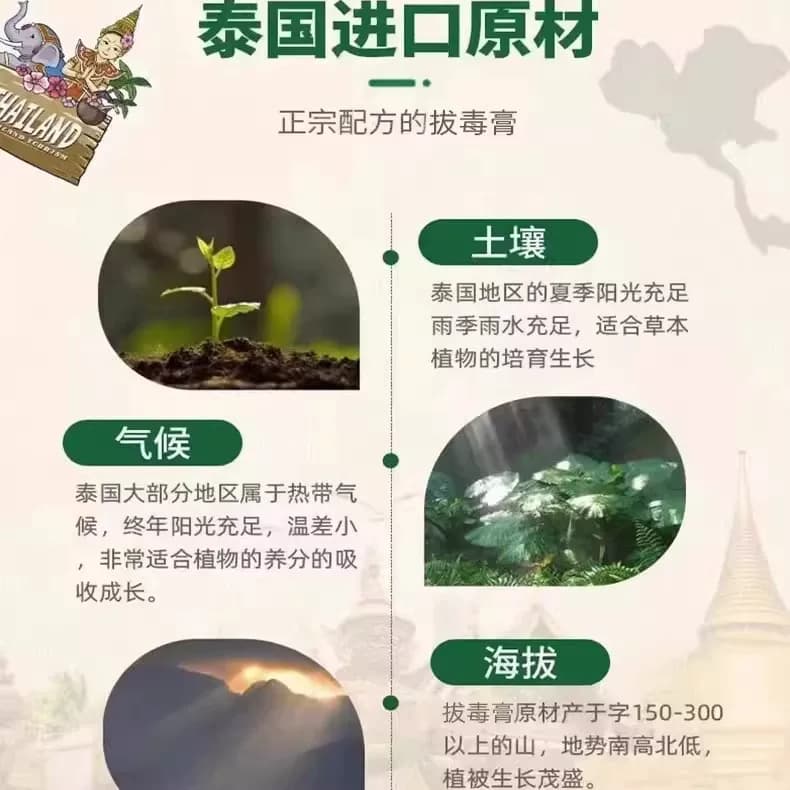 丽丽专属 泰国拔毒顽痒清 - 缩略图4