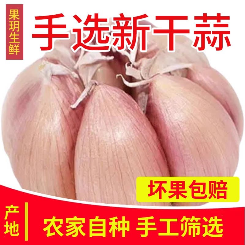 农家大蒜头新干蒜紫白皮大蒜种籽干蒜1斤5斤9斤河南干大蒜非鲜蒜 - 缩略图2