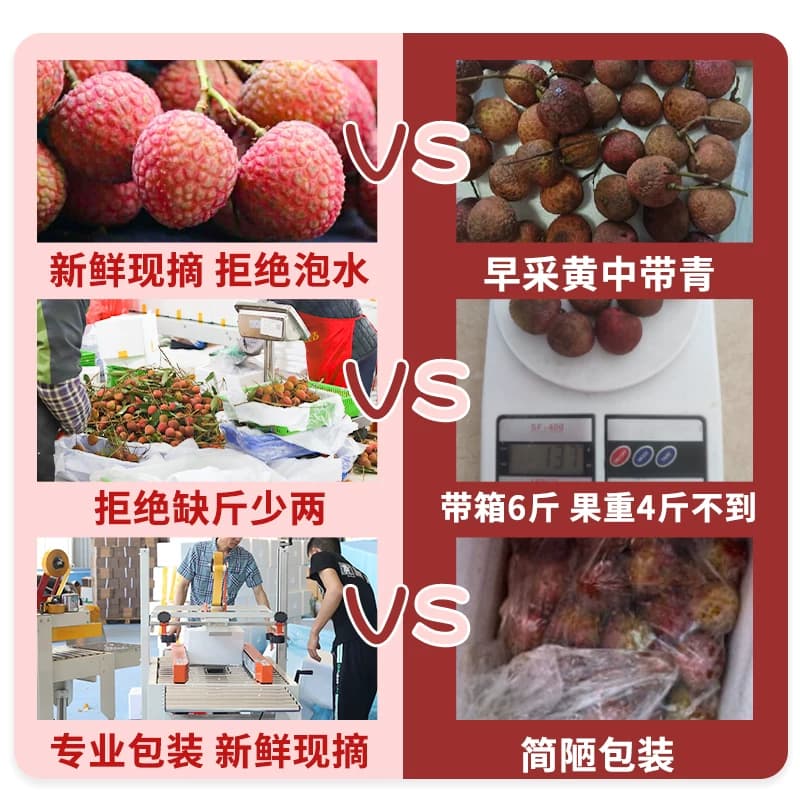 【晚熟品种】漳州黑叶荔枝新鲜现摘现发10斤老树水果整箱顺丰京东 - 缩略图2