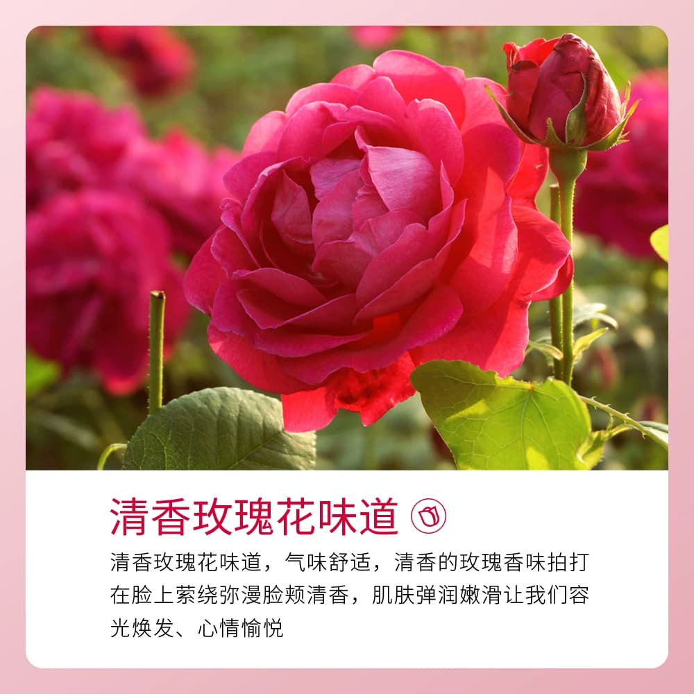 【拍一发二】images形象美舒润清滢补水保湿柔肤水A4 - 缩略图3