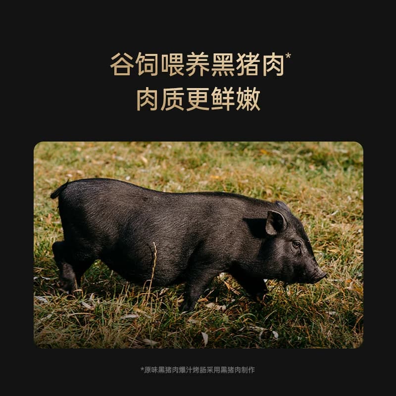 【蜂狂618】锋味派官方黑猪肉爆汁烤肠火山石香肠热狗地道肉肠 - 缩略图4