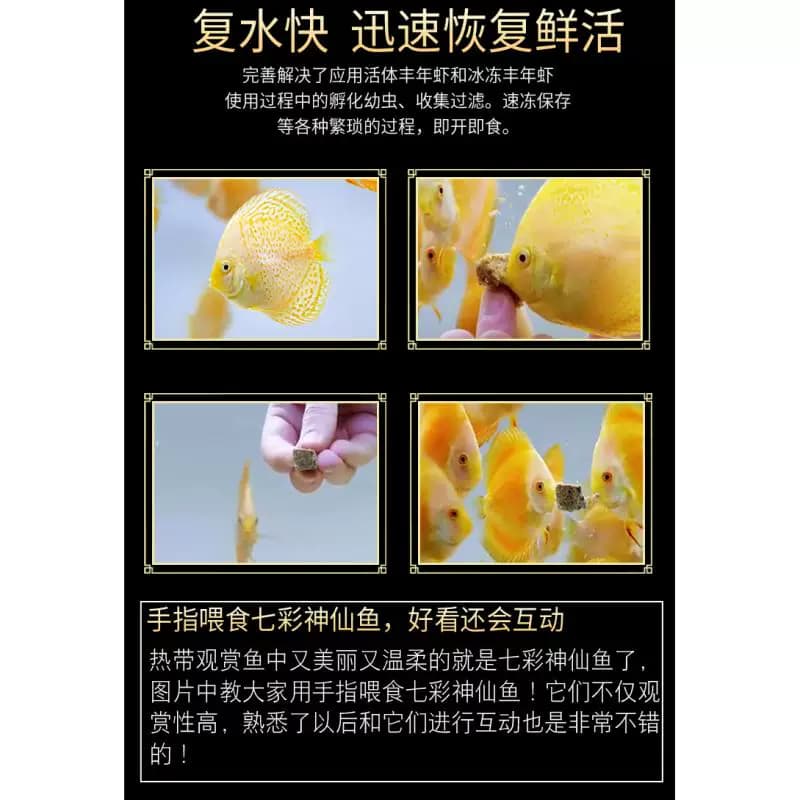 冻干丰年虾块天然观赏鱼鱼食灯科斗鱼七彩神仙孔雀鱼饲料红虫冷冻 - 缩略图3