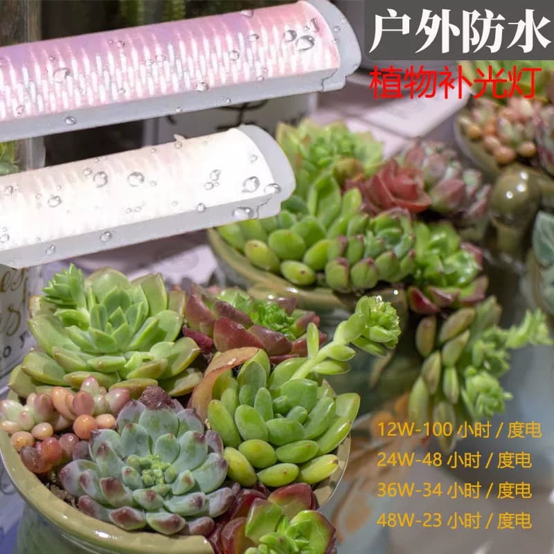 LED全光谱仿太阳光长条防水多肉花卉蔬菜补光生长灯多肉生长灯 - 缩略图4