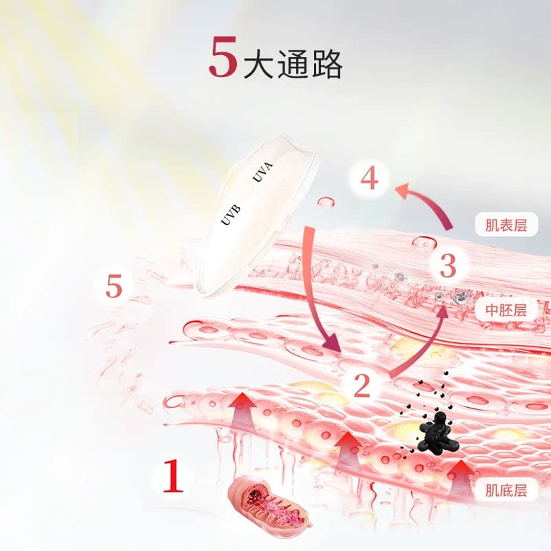 福瑞达伽美博士冰白番茄白松茸烟酰胺饮品玻尿酸口服液25ml*10支m - 缩略图3