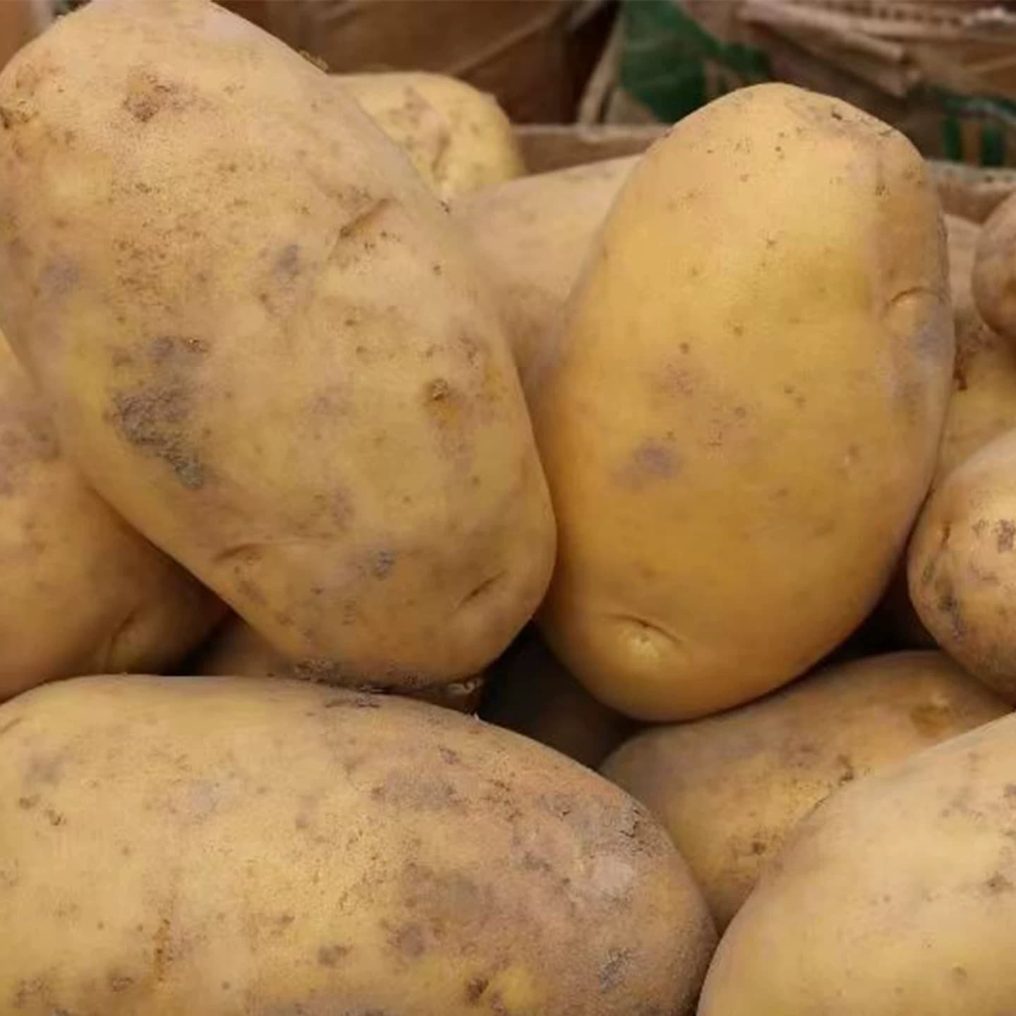 26年正宗甘肃定西沙面土豆新土豆黄肉黄心洋芋粉面5斤蔬菜马铃薯 - 缩略图4