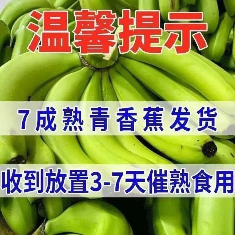 [催熟食用]正宗广西高山甜香蕉威尼斯绿皮软糯香甜自然熟新鲜水果 - 缩略图5