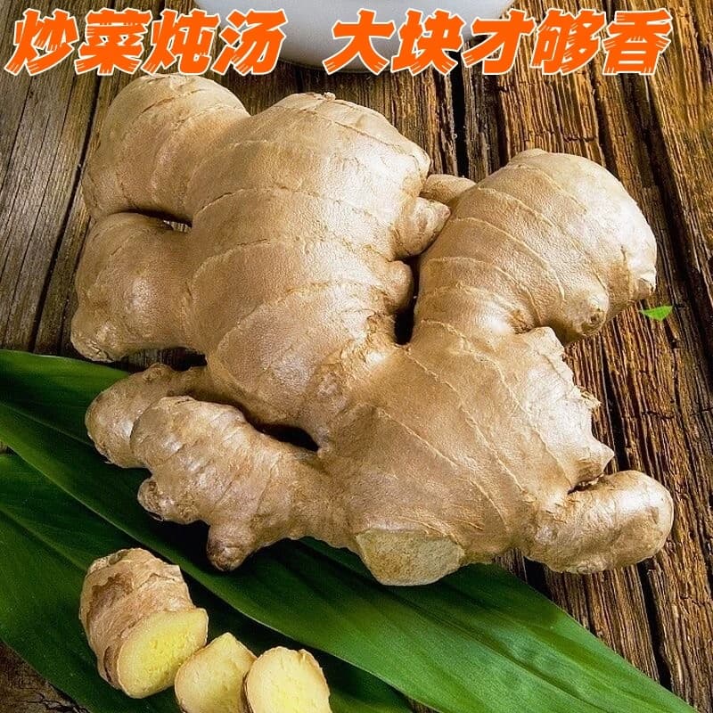 山东大姜生姜新鲜老姜黄姜风干月子姜食用泡脚洗发大姜块批发正宗 - 缩略图4