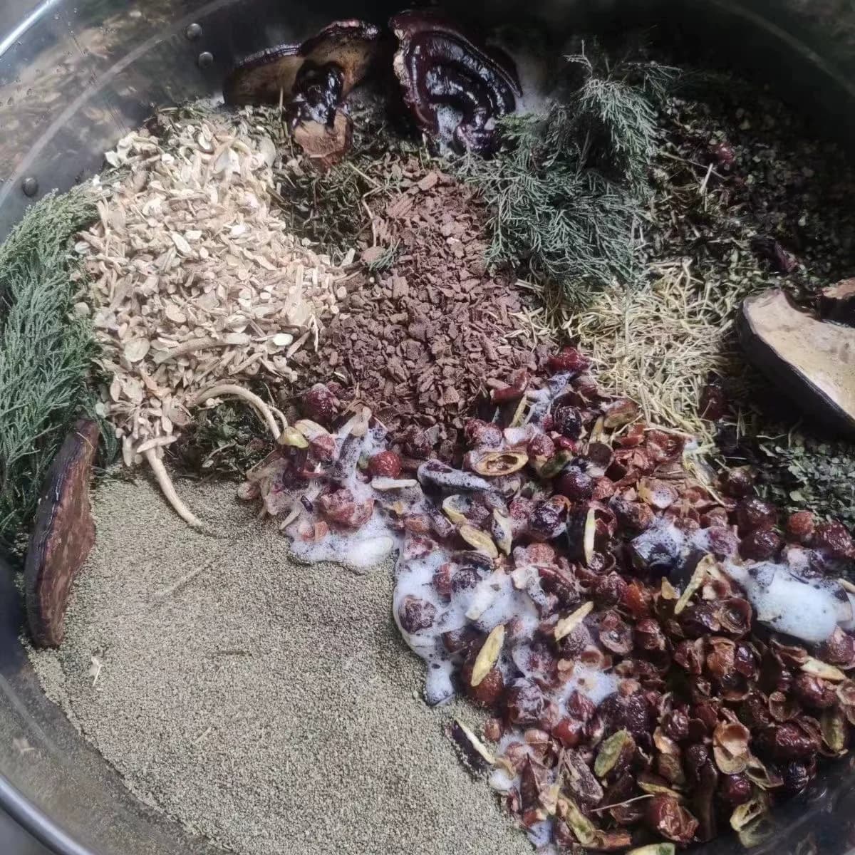 【洗发水草本植物】侧柏叶控油去屑防断发洗发露草本植物洗头膏 - 缩略图4
