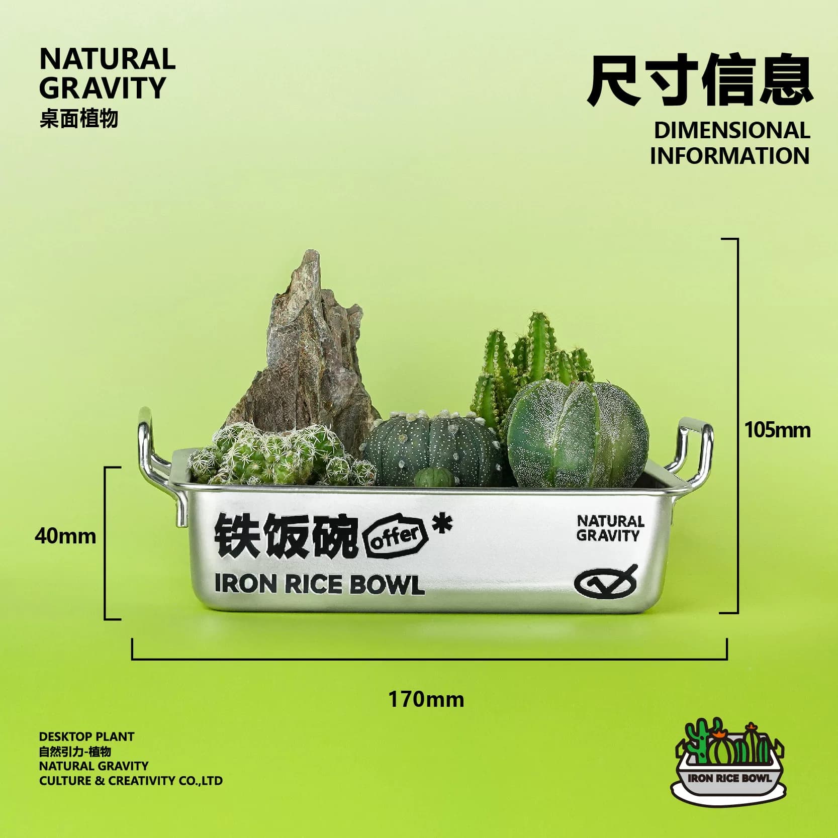 自然引力-铁饭碗仙人掌植物创意盆栽生日毕业礼物办公室绿植礼品 - 缩略图4