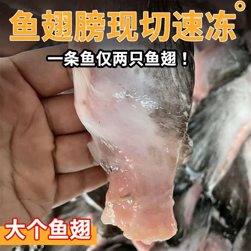新鲜安康鱼翅膀冷冻鱼翅鱼鳍安康鱼鲜活深海鱼翅海鲜水产整箱批发 - 缩略图5