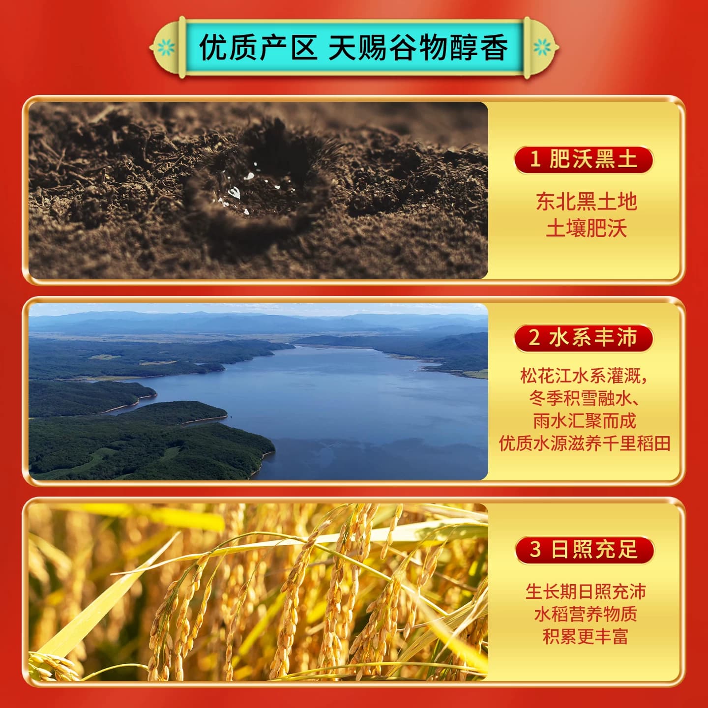 2025新米十月稻田稻香米5kg东北大米软糯香粳米真空10斤官方旗舰 - 缩略图2