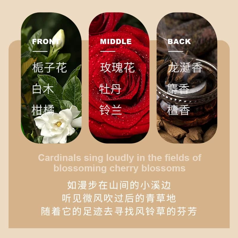 深润顺滑免蒸发膜深入呵护清爽蓬松柔顺改善毛躁大容量正品 - 缩略图5