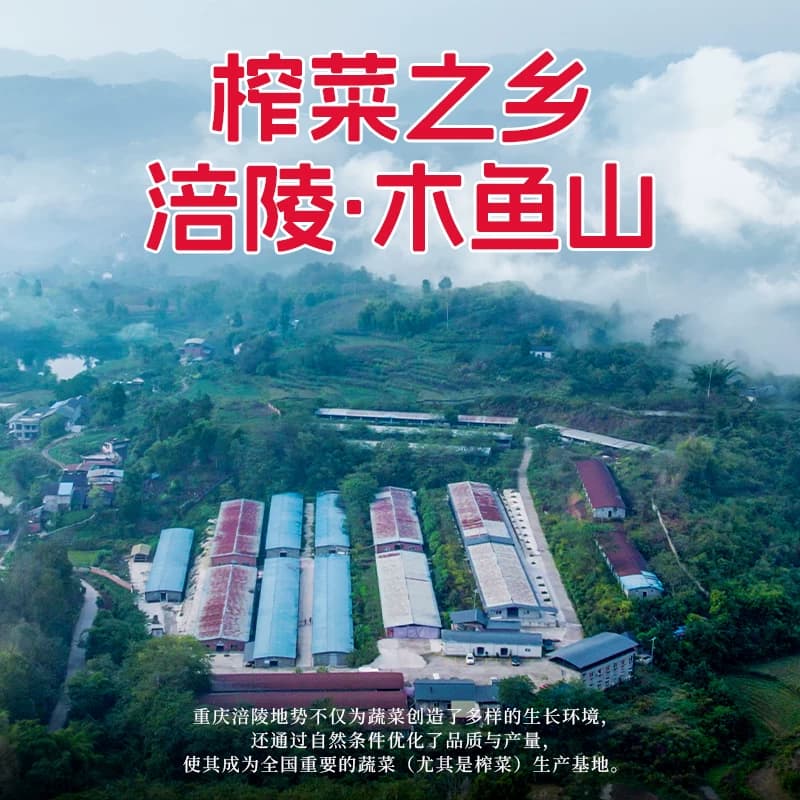 木鱼山泡儿菜七可泡儿菜四川泡菜老坛腌制泡菜下饭菜酸菜大头菜 - 缩略图3