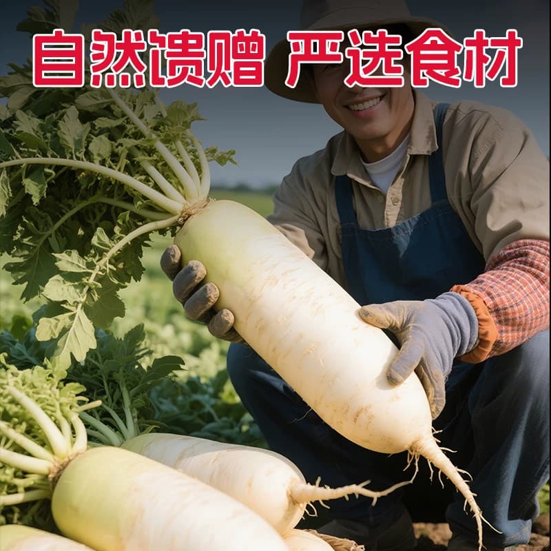木鱼山正宗四川泡菜红萝卜酸甜萝卜丁跳水胭脂萝卜丁烧烤豆干苕皮 - 缩略图3