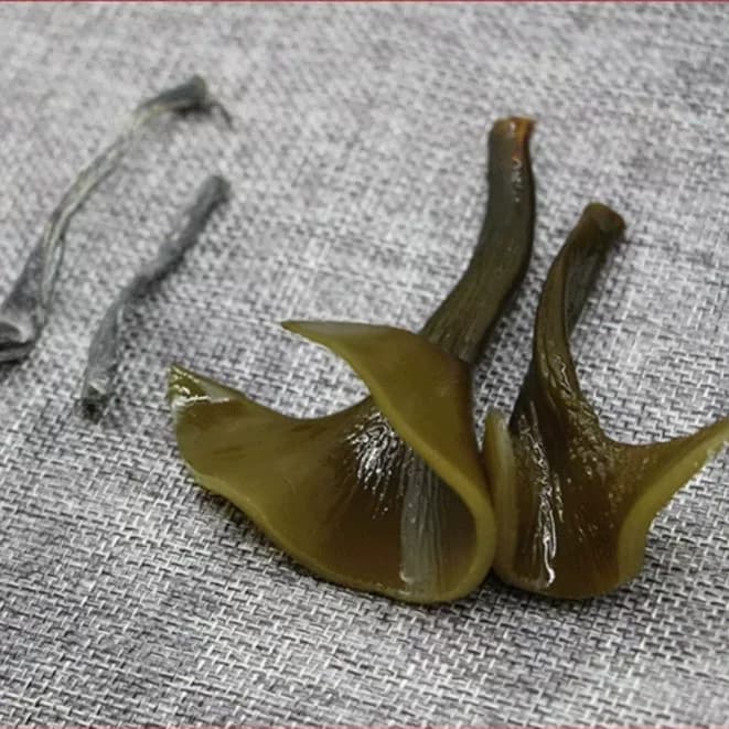 【海带头】霞浦海带头干货无干燥剂厚实软糯新货营养美味风干 - 缩略图3