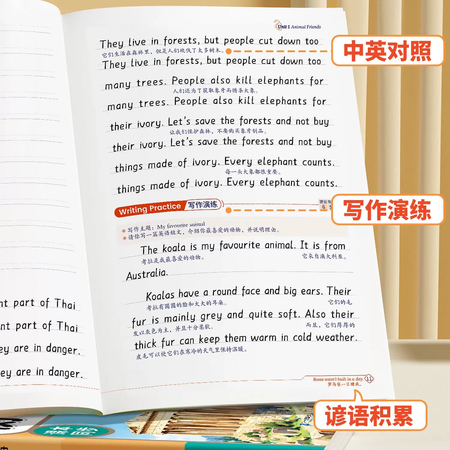 2026适用初中衡水体英语字帖人教版七年级八九年级上册下册练字帖同步7上8初一二三新教材作文字帖9初中生学生专用的练字练习字帖 - 缩略图5