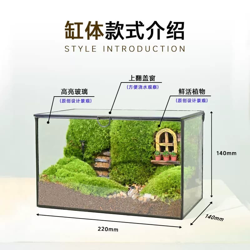 七夕高端ins风苔藓微景观玻璃生态缸造景艺术植物绿植创意礼物 - 缩略图3