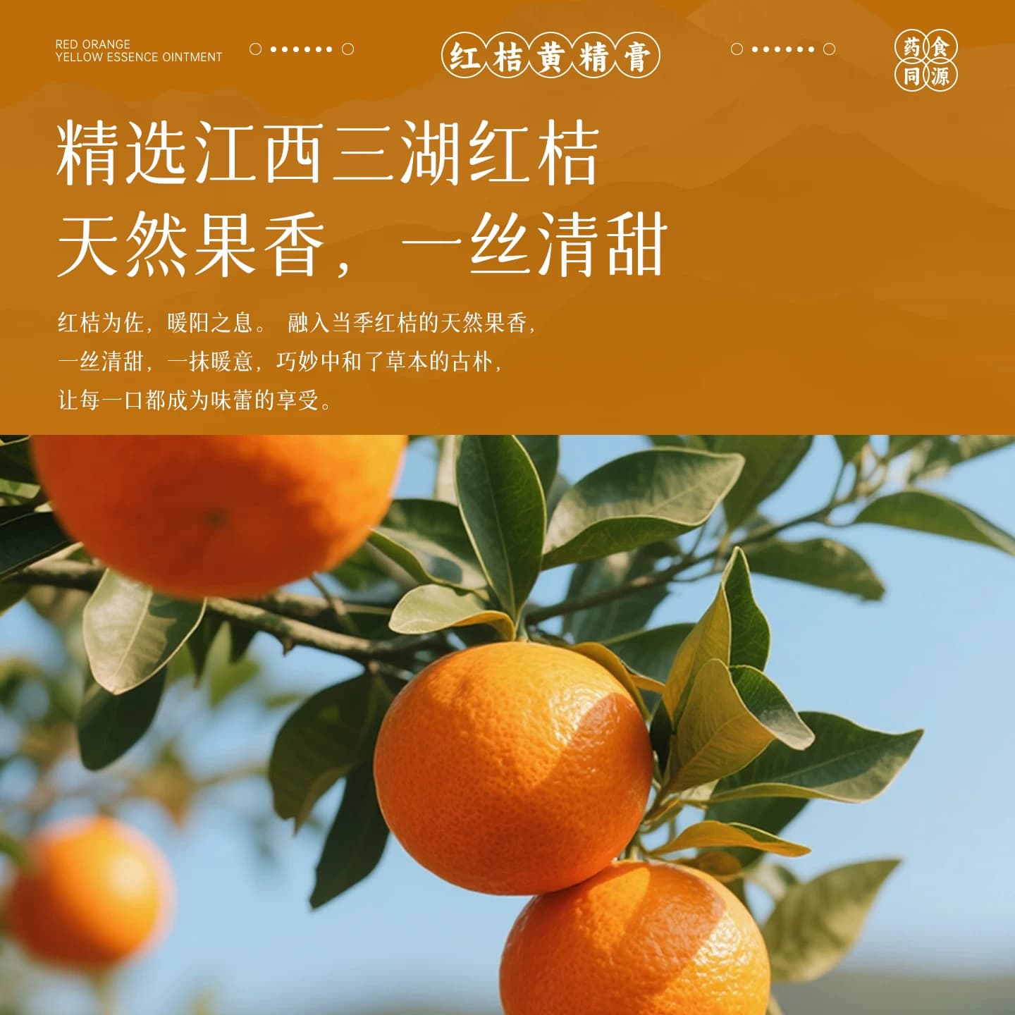 神侬源红桔黄精膏九蒸九晒传统古法古法蒸熬制理气养生老牌 - 缩略图4