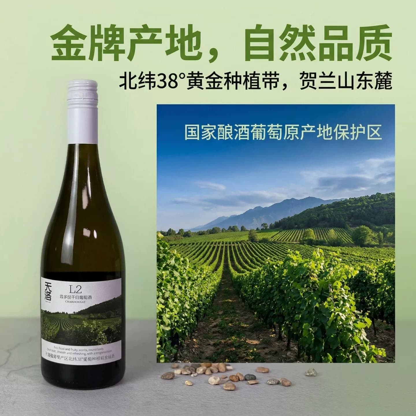 宁夏贺兰山东麓黄金纬度产区天洛酒庄L2霞多丽干白葡萄酒国货精品 - 缩略图2