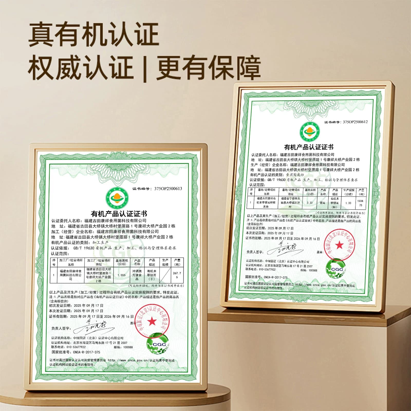 【高颜堂】古田双有机本草银耳40g免洗免泡干货白木耳即食银耳羹 - 缩略图2