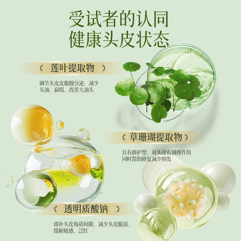 青蒿头皮素敏感修护去屑控油蓬松去头屑清洁护理洗发水男女通用 - 缩略图4