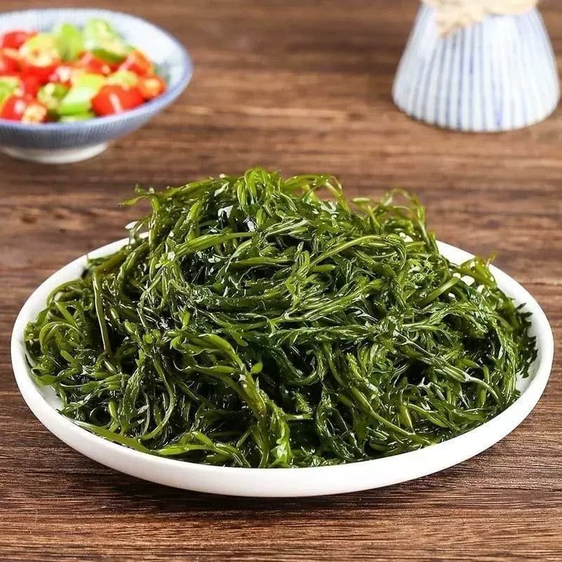 新鲜马尾藻鞭炮450g长寿菜盐渍火锅食材海藻马尾藻新鲜盐渍涮菜 - 缩略图5