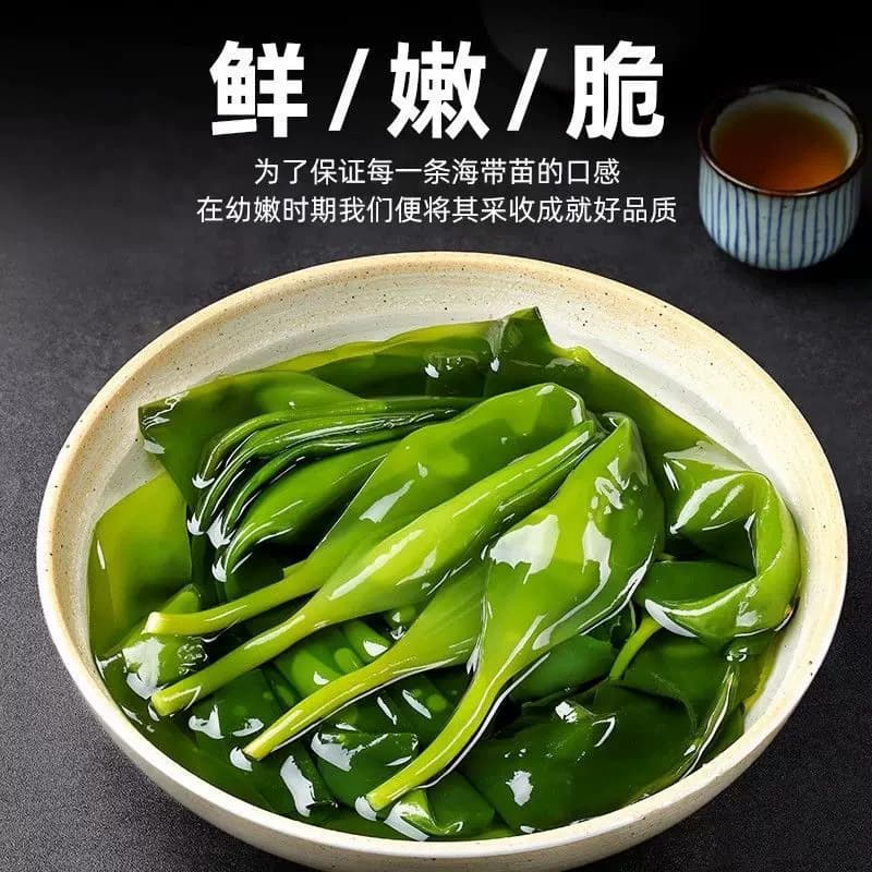 醉天舟福建霞浦嫩海带嫩苗 400g 袋装新鲜盐渍海带芽涮锅凉拌海菜 - 缩略图3