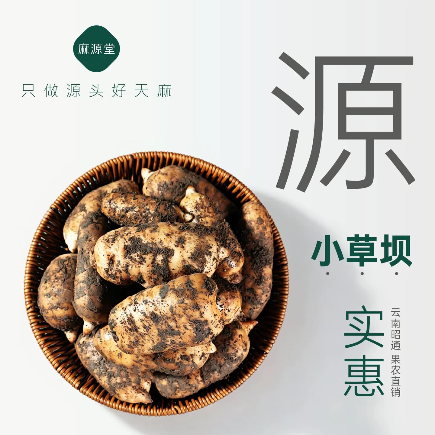 新鲜天麻云南昭通乌天麻正宗小草坝新鲜天麻中药材正品官方旗舰店 - 缩略图3