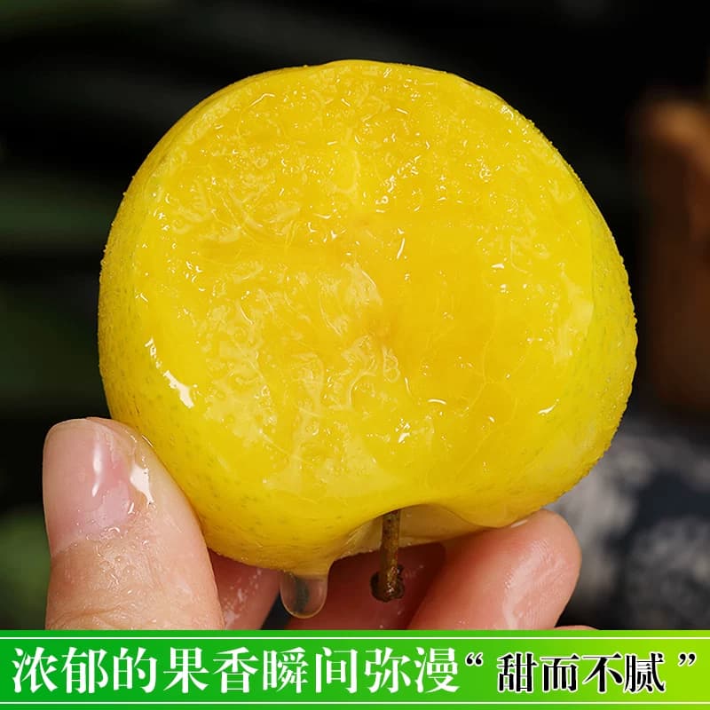 正宗冰糖李桃花李新鲜李子水果四川蜂糖李子黄金奈李孕妇整箱包邮 - 缩略图3