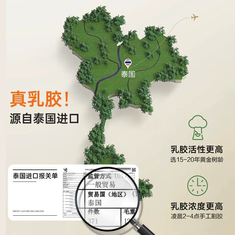 福满园泰国乳胶枕头枕芯护颈椎睡眠单人学生宿舍一对装记忆枕 - 缩略图4