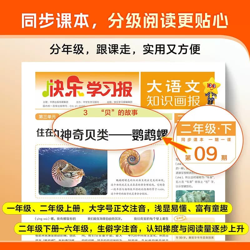 天星大语文知识画报一二年级上册人教版三年级下四五六合订本2026秋2027春季新快乐学习报报纸1-52期杂志小学生123456少年报非过刊 - 缩略图5