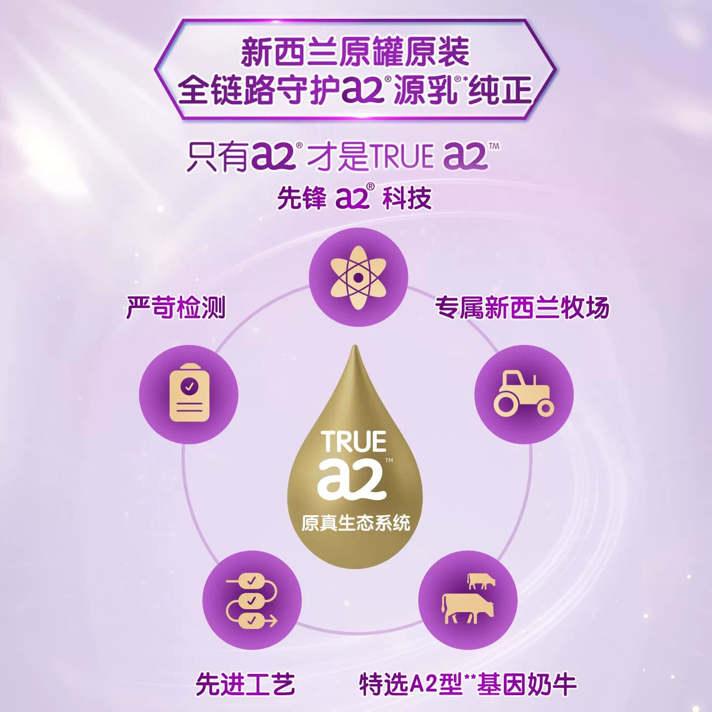 a2进口紫白金2段二段较大婴儿配方奶粉A2蛋白质900g*6罐 批批严检 - 缩略图3